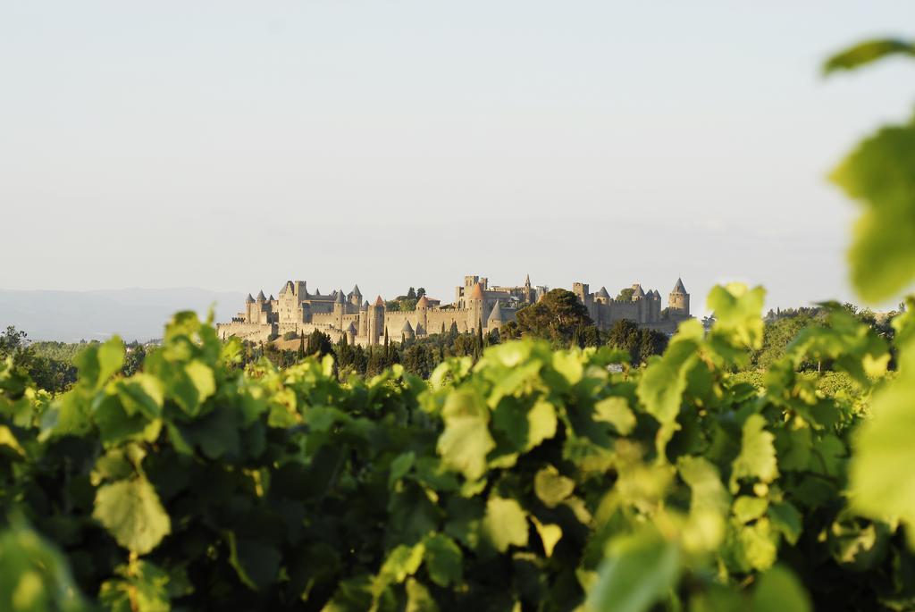 La Maison D'Alix, A L'Interieur De La Cite Medievale! Carcassonne Oda fotoğraf
